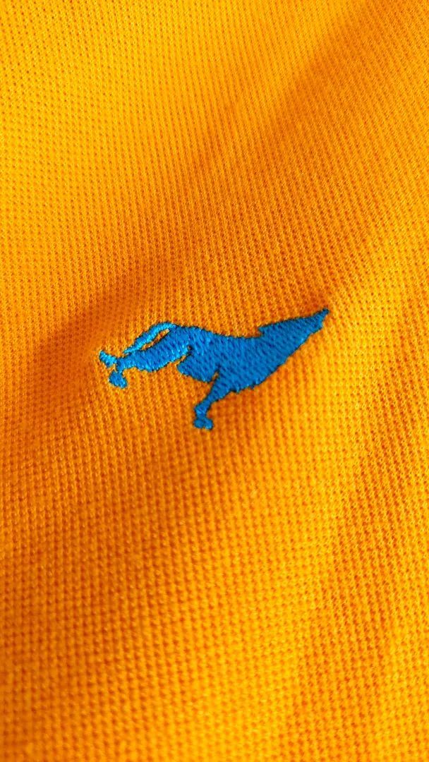 Camisa polo Lobo Paysandu oficial - Foto 2