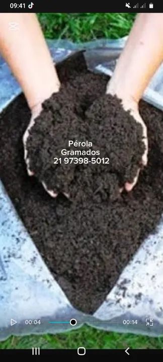 Substrato Para Gramado, hortas, frutíferas - Pérola Gramados