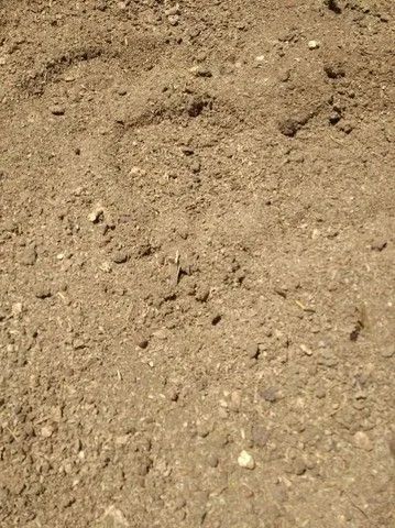 Caminhão de esterco gado  13 metros cubicos ? Esterco de Gado - Adubo Orgânico Natural  - Foto 2