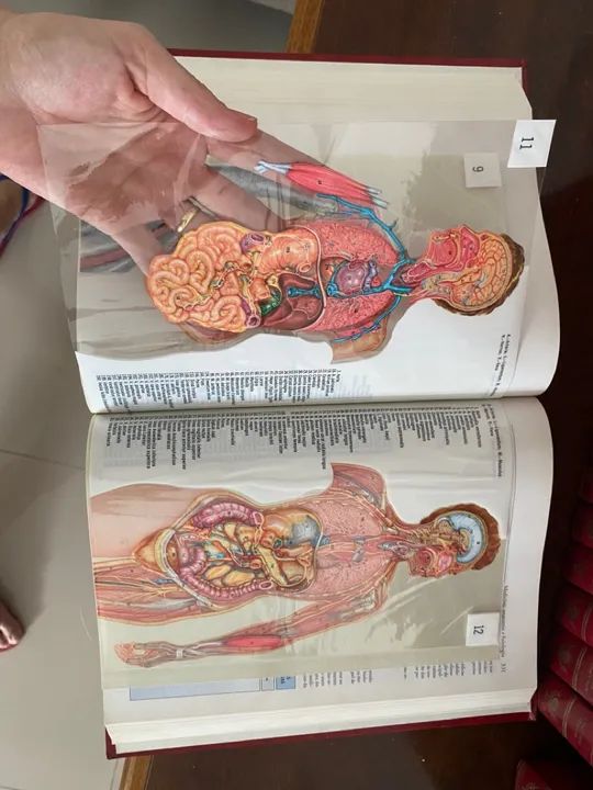 Enciclopédia Britânica BARSA - Foto 3