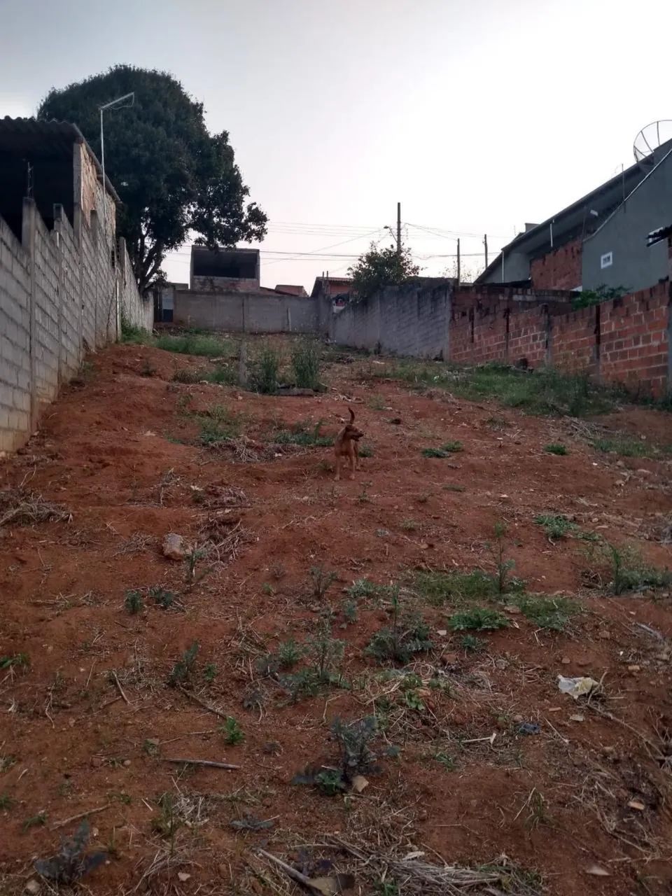 Foto - Taubaté - São Gonçalo