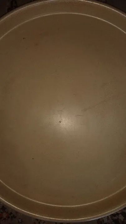 2 Pratos Liso Grande para Plantas - Foto 3