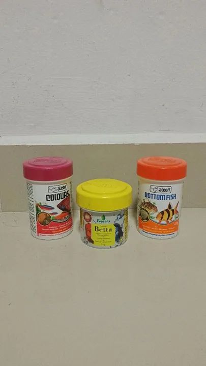 Aquário Completo de 15 Litros - Praticamente Novo! - Foto 3