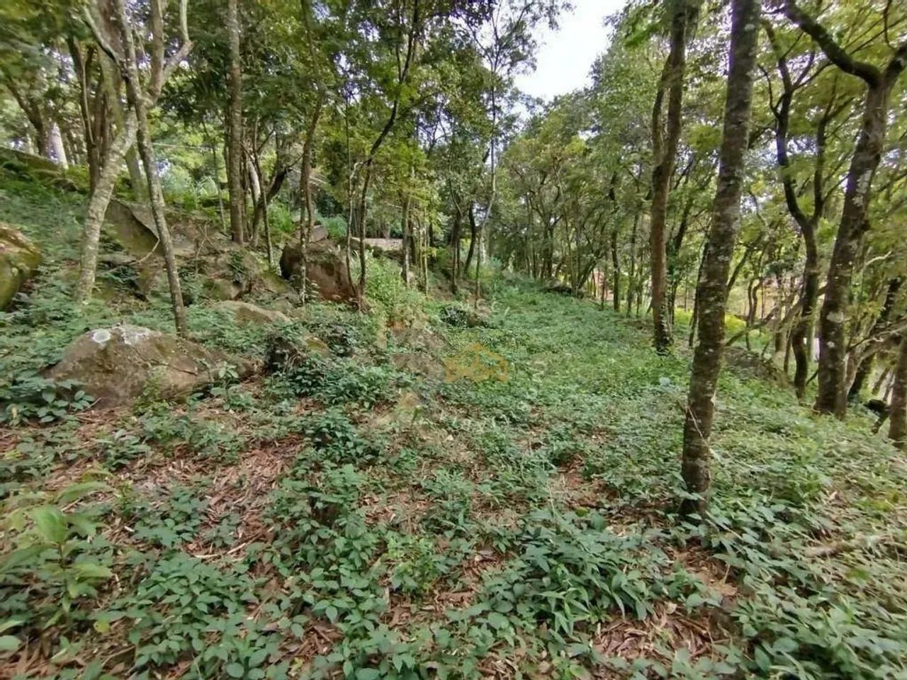 Terreno à venda, 1925 m² - Condomínio Nova Suiça - Valinhos/SP
