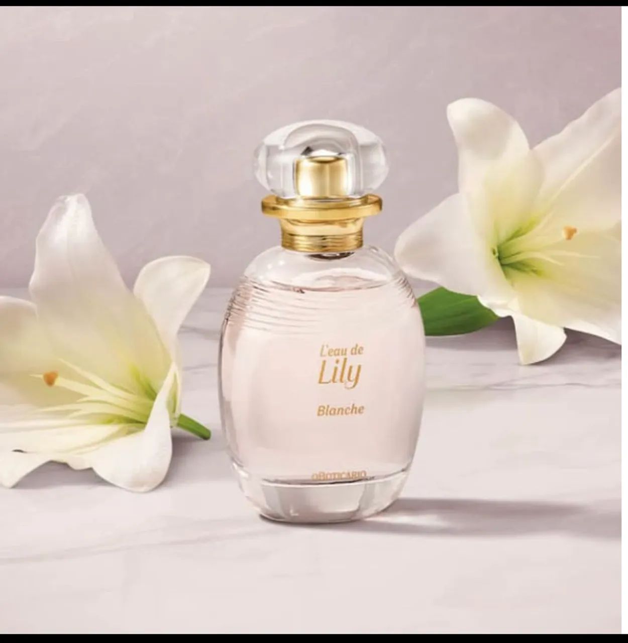 Perfume Lily lançamento 
