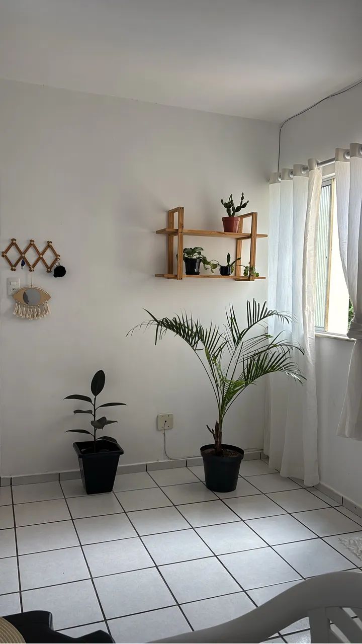 Foto - São Luís - Angelim