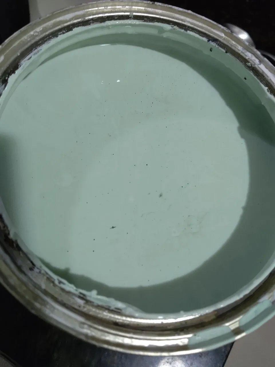 Tinta Verde Erva Cidreira Standard Coral - Foto 2