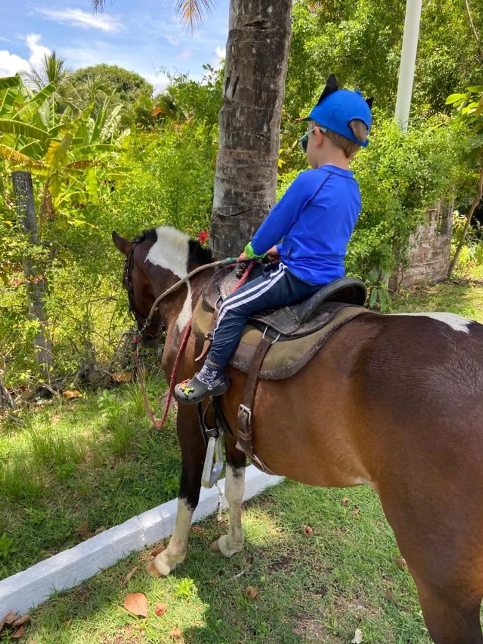 Pônei Piquira égua Pampa de Castanho