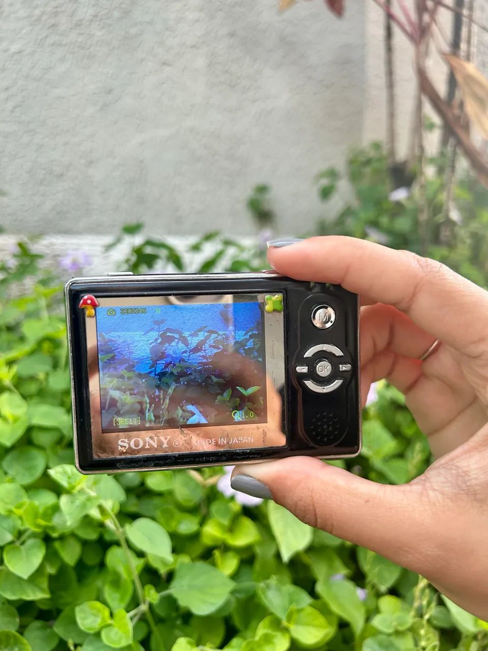 Sony Camera64303753686019121