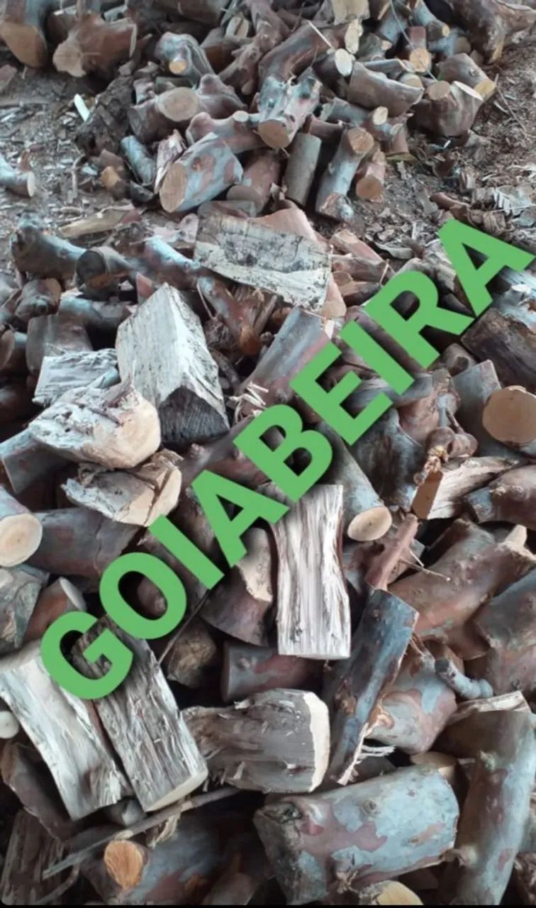 LENHA NOBRE PARA CHURRASCO, DEFUMAÇÃO E PARRILLA - ENTREGA RÁPIDA. - Foto 4