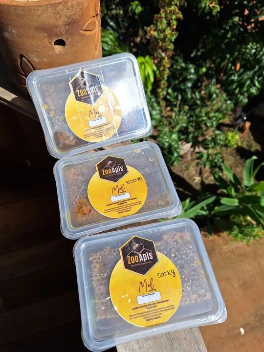 Mel de abelha no favo  puro e fresco - Foto 4