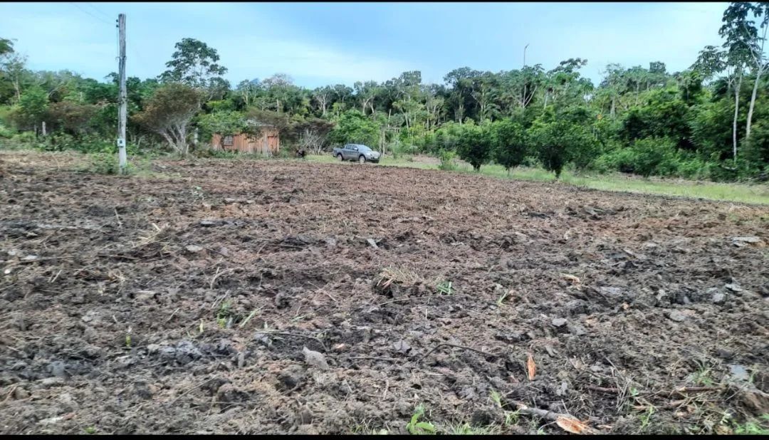 Sitio 70ha com Casa Simples e Terreno Amplo - Foto 3