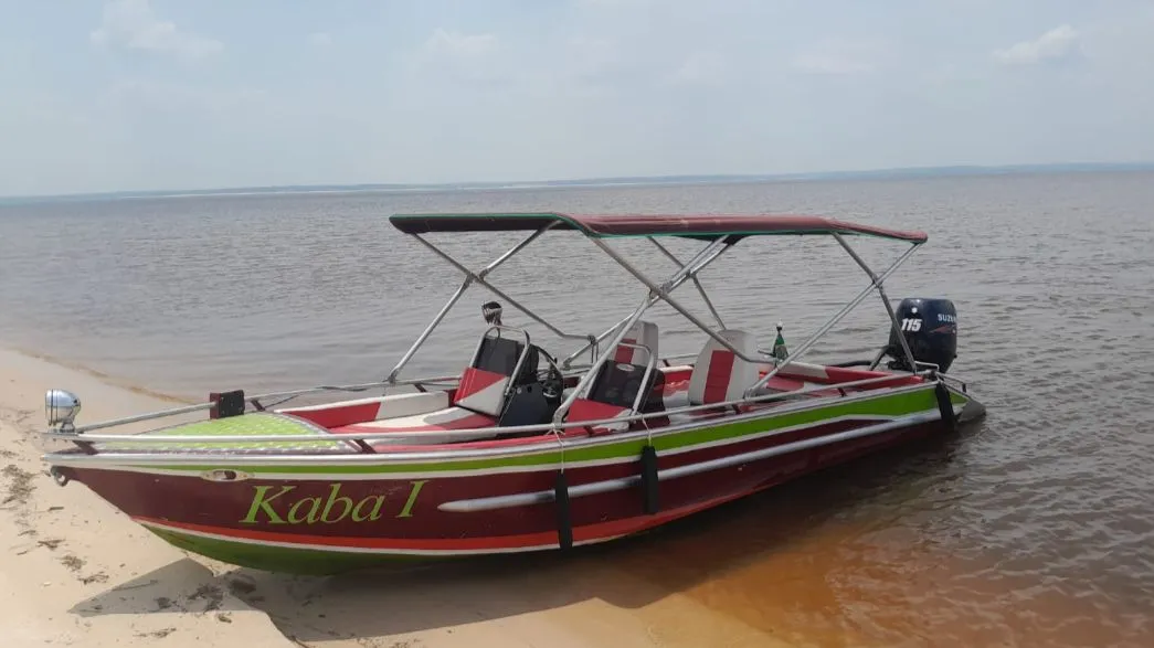 Lancha Suzuki 115 hp