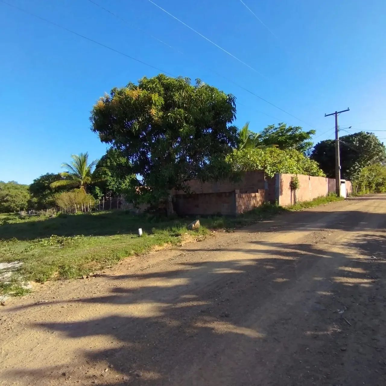 PROMOÇÃO! VENDO TERRENO PLANO NA ILHA ILHA R$ 5.000,00 A VISTA - Foto 4