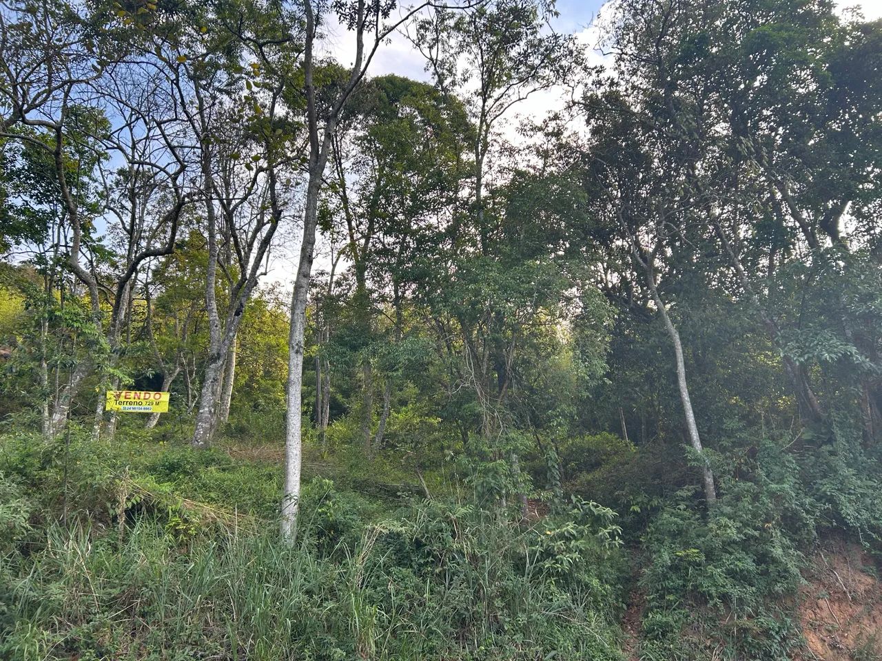 Foto - Petrópolis - Caxambu