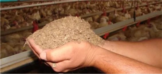 Caminhão de esterco gado  13 metros cubicos ? Esterco de Gado - Adubo Orgânico Natural  - Foto 6