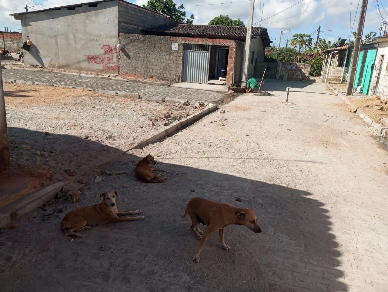 Terreno 8×14 - Foto 3