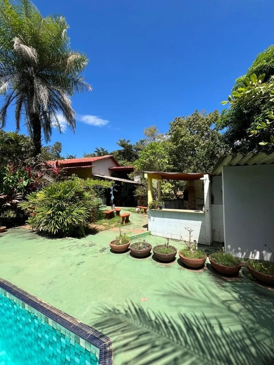 Fazenda / Sítio / Chácara em Palmas - Foto 2
