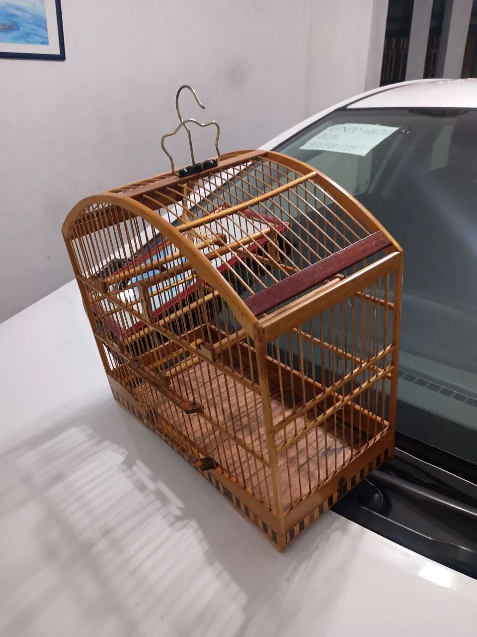 Animais e acessórios  - Foto 4
