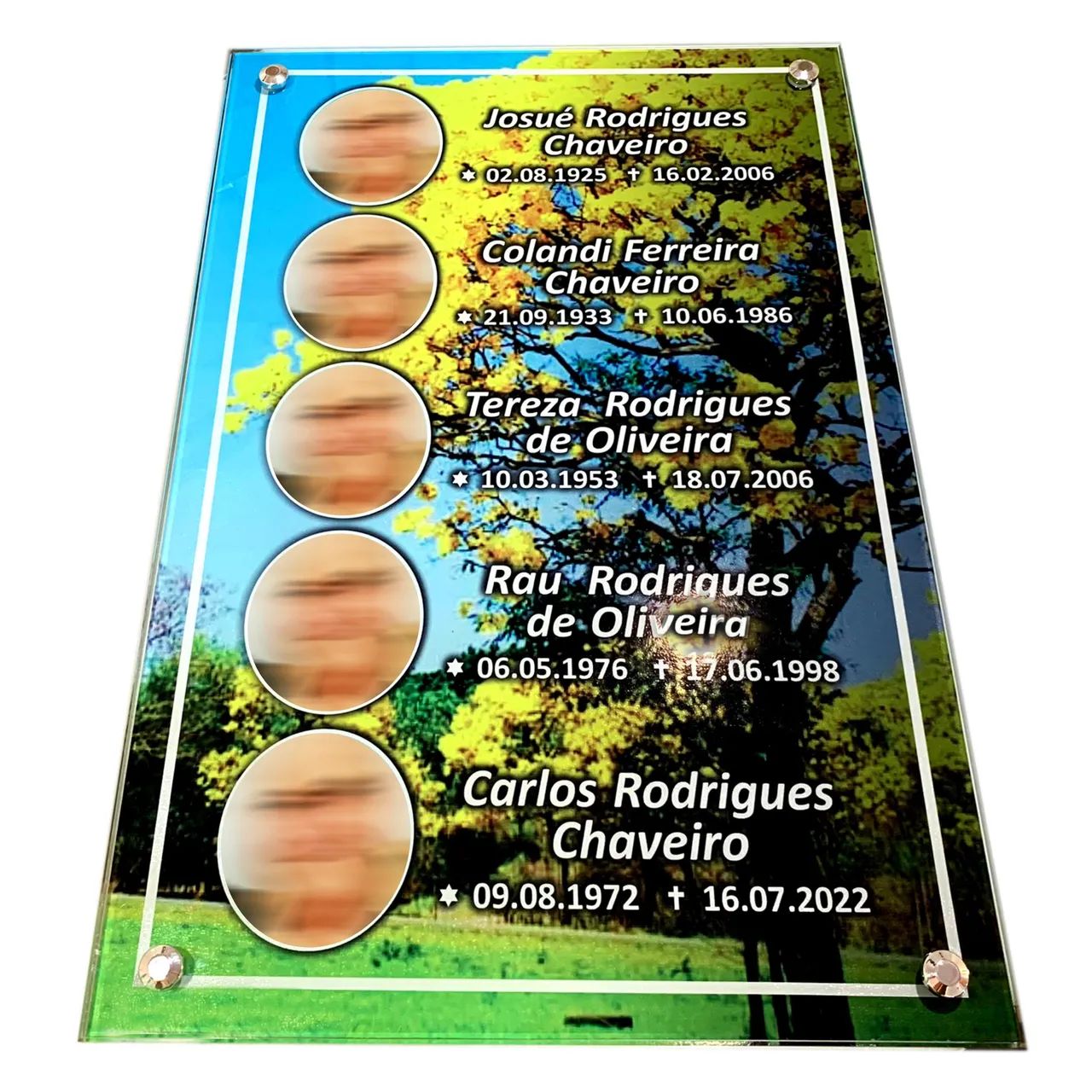 Placas Para túmulo vidro temperado e personalizada - Foto 2