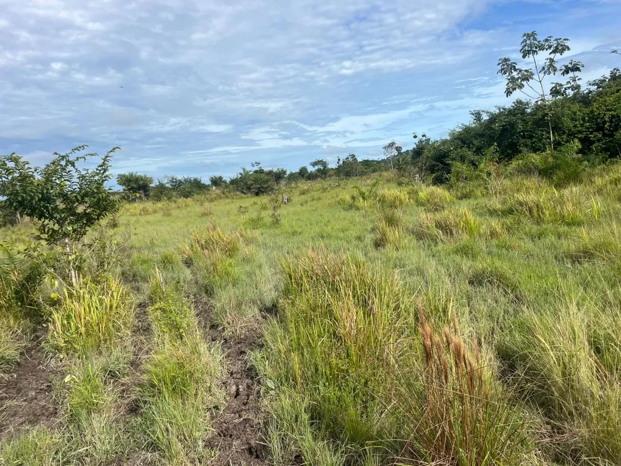 Vende-se fazenda 