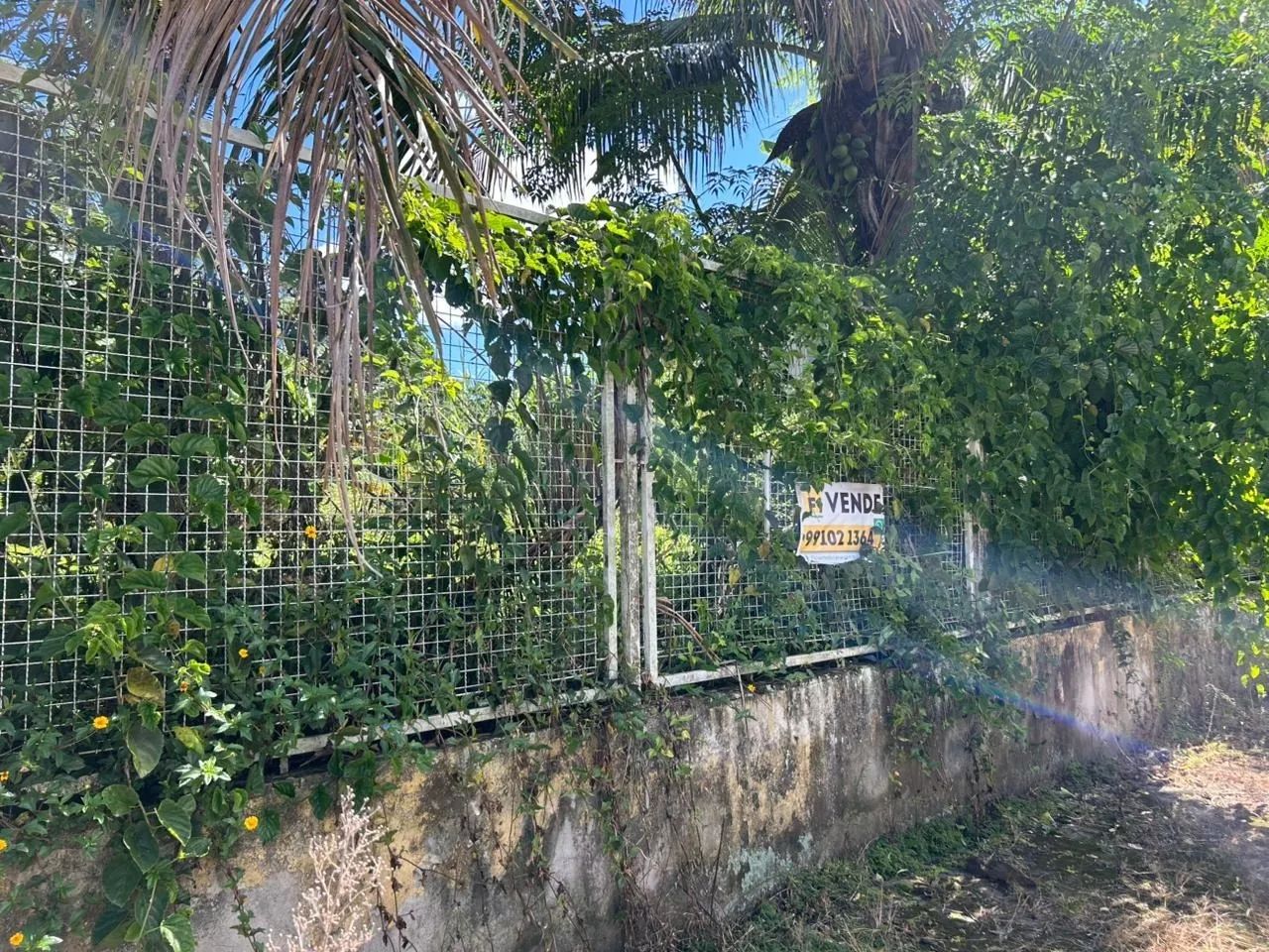 Terreno de 360m² à venda no bairro Santa Mônica - Foto 5