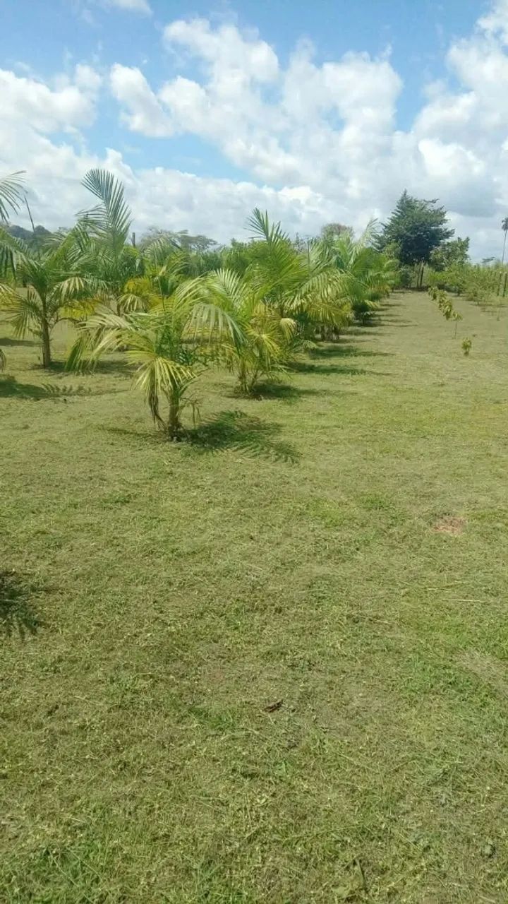 Roço Lotes e Chacaras 