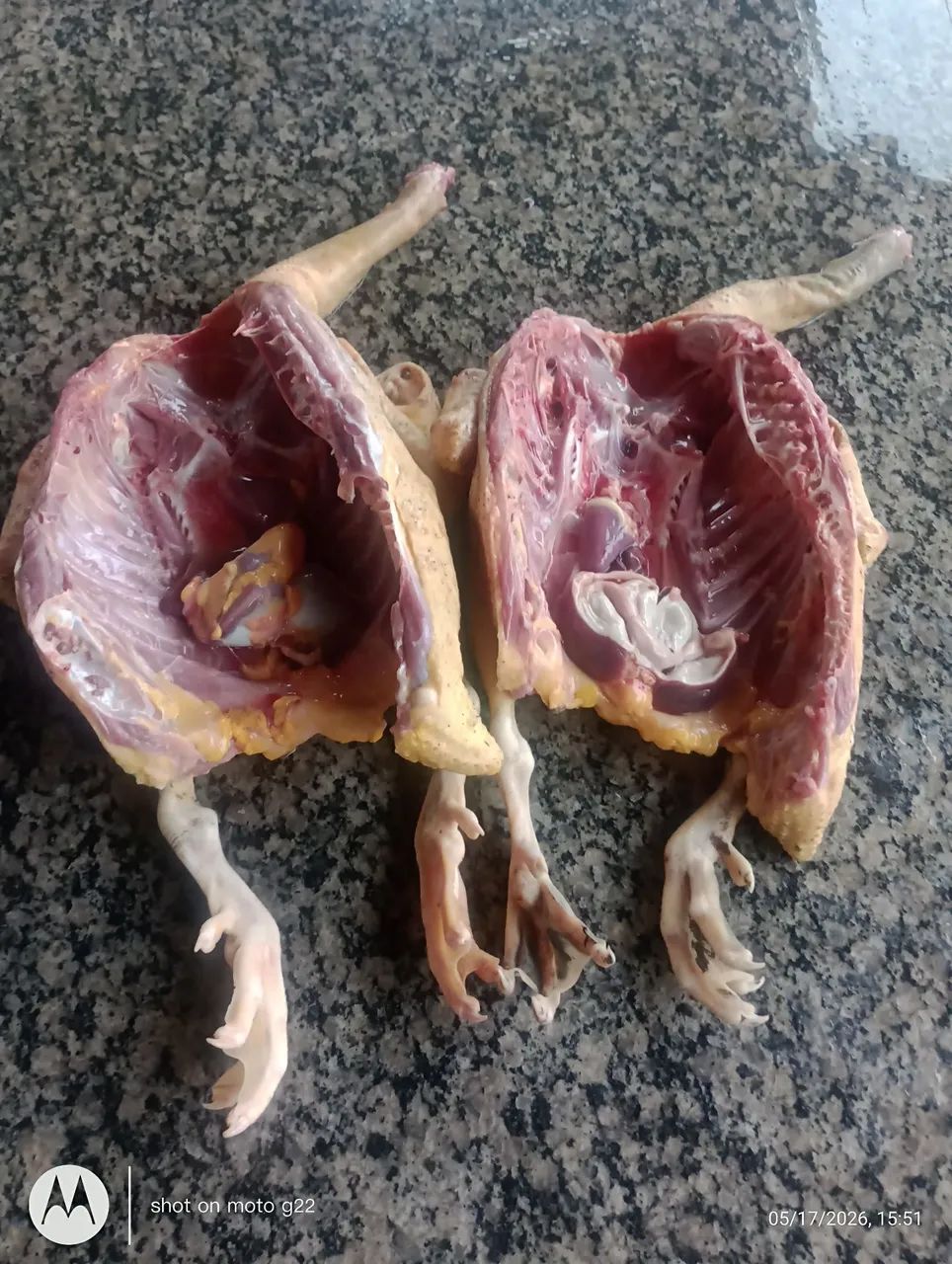Galinha caipira 