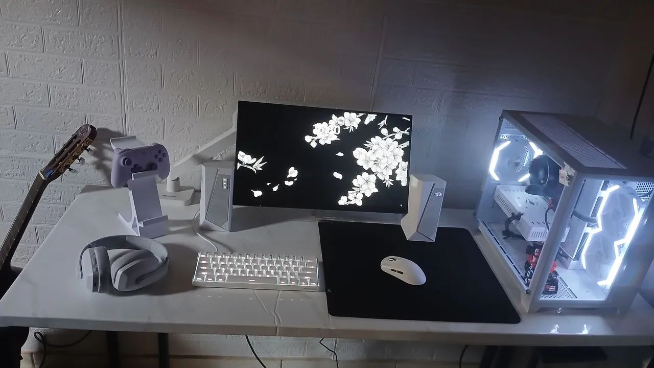 PC GAMER E SETUP GAMER