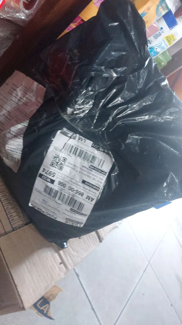 Porquinho da india - Foto 2