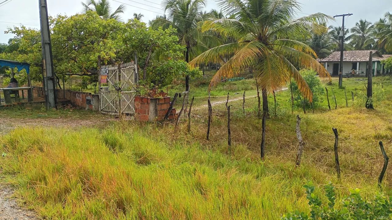 Terreno 25x410 mts com casa  - Foto 5