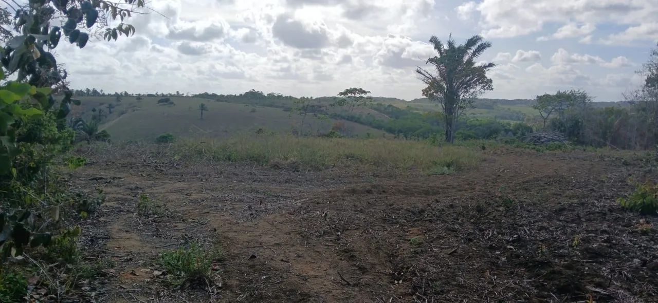 Vendo sitio em maragogi - Foto 3