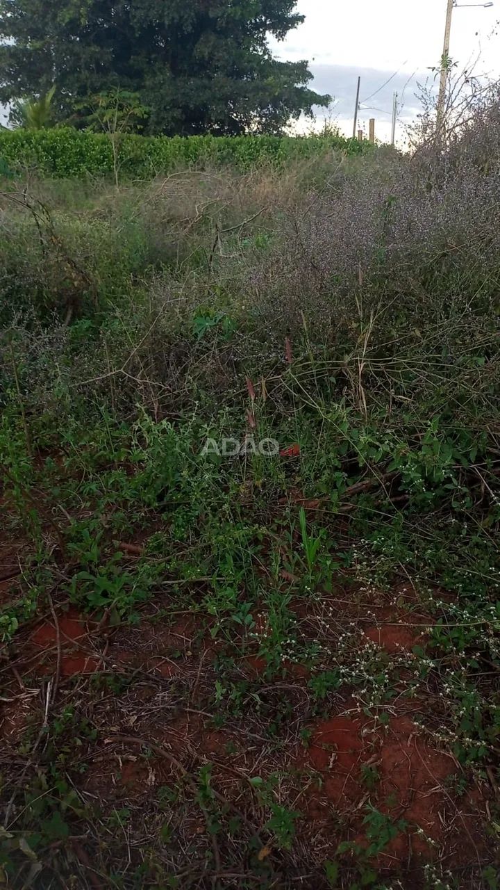 Lote em condomínio fechado - Nerópolis - Foto 4