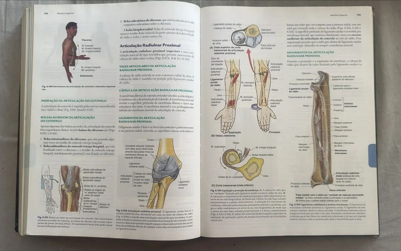 Anatomia Orientada para Clínica- MOORE - Foto 4