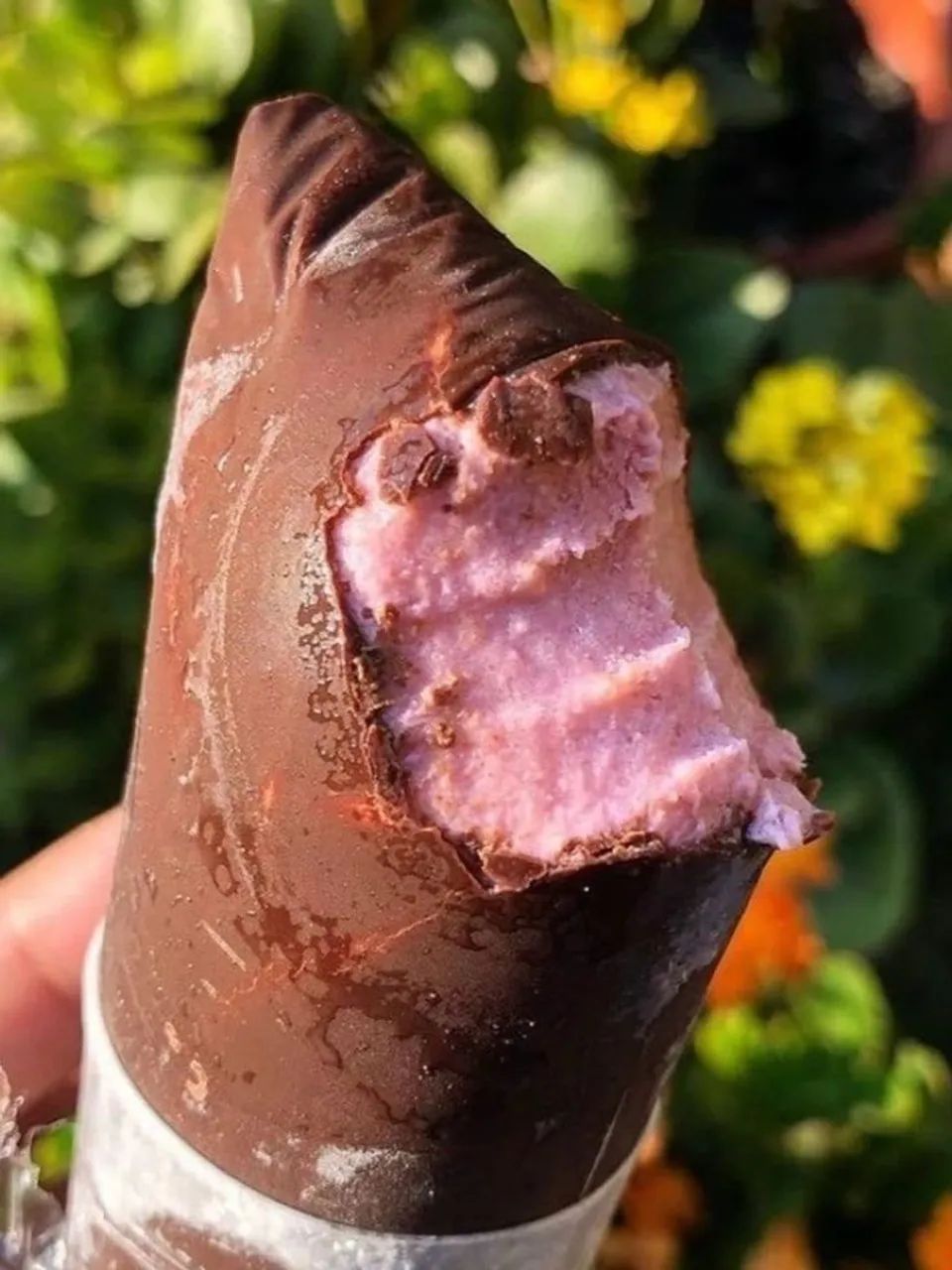 Geladinho guormet  - Foto 4