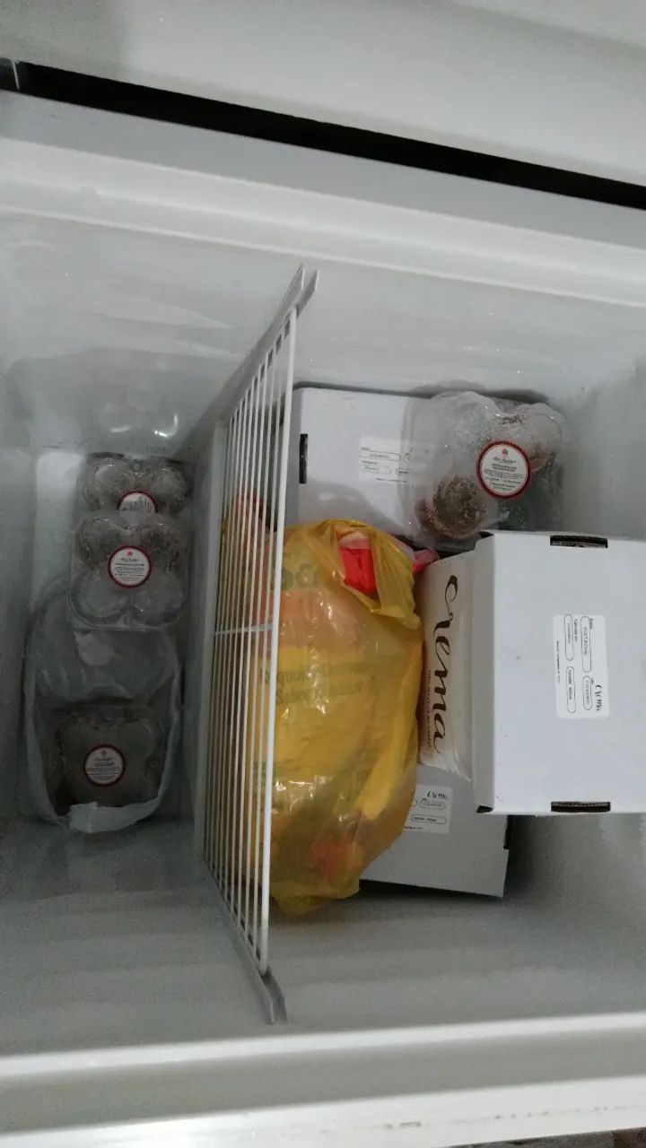 Freezer Horizontal Metalfrio - 220V - 166 Litros DA170 - Foto 5