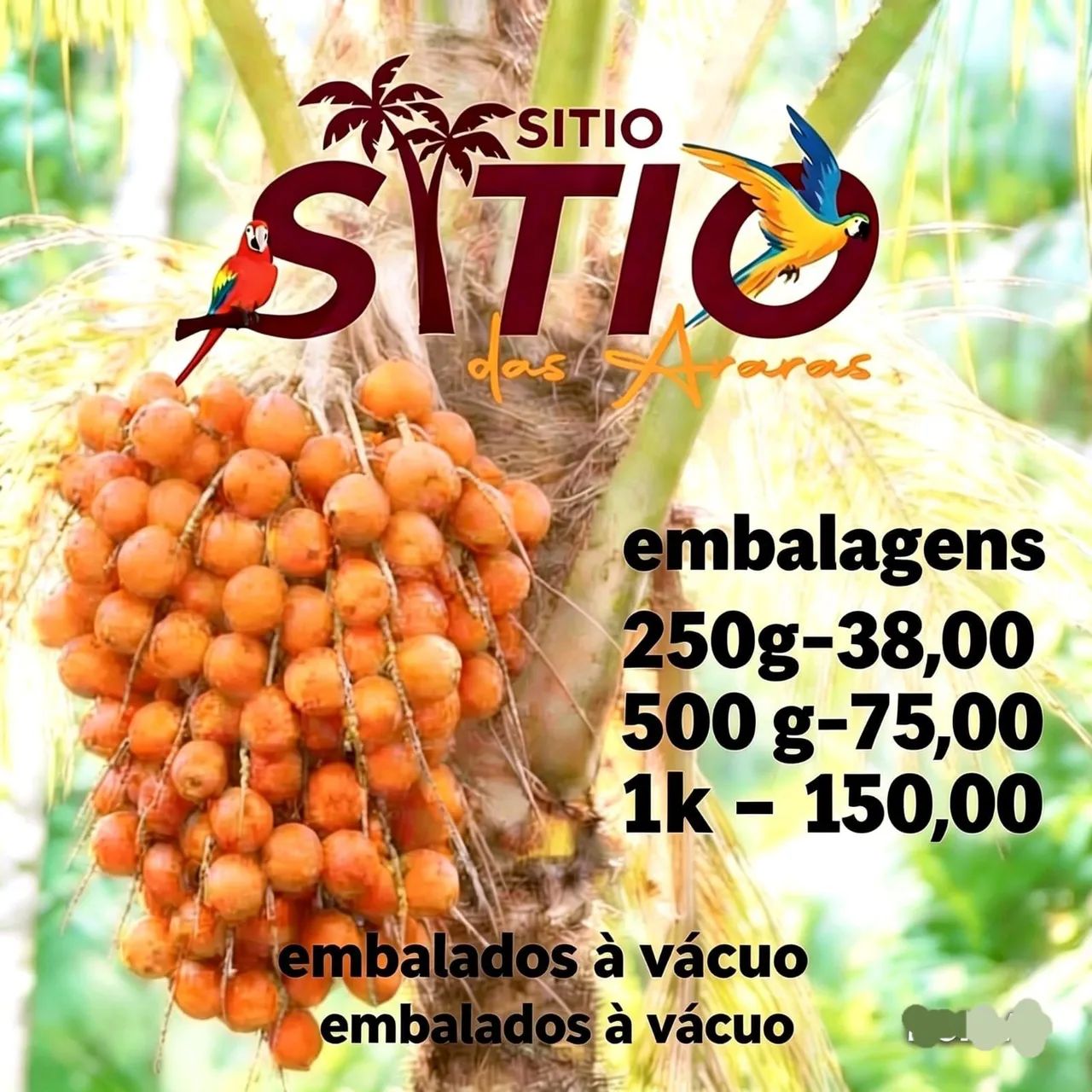 Polpa de tucumã premium - Foto 2