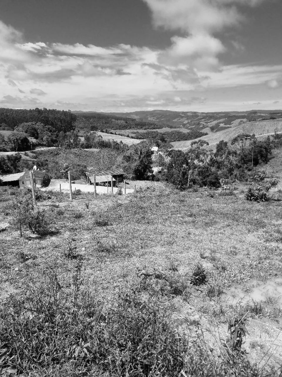 Terreno  - Foto 5