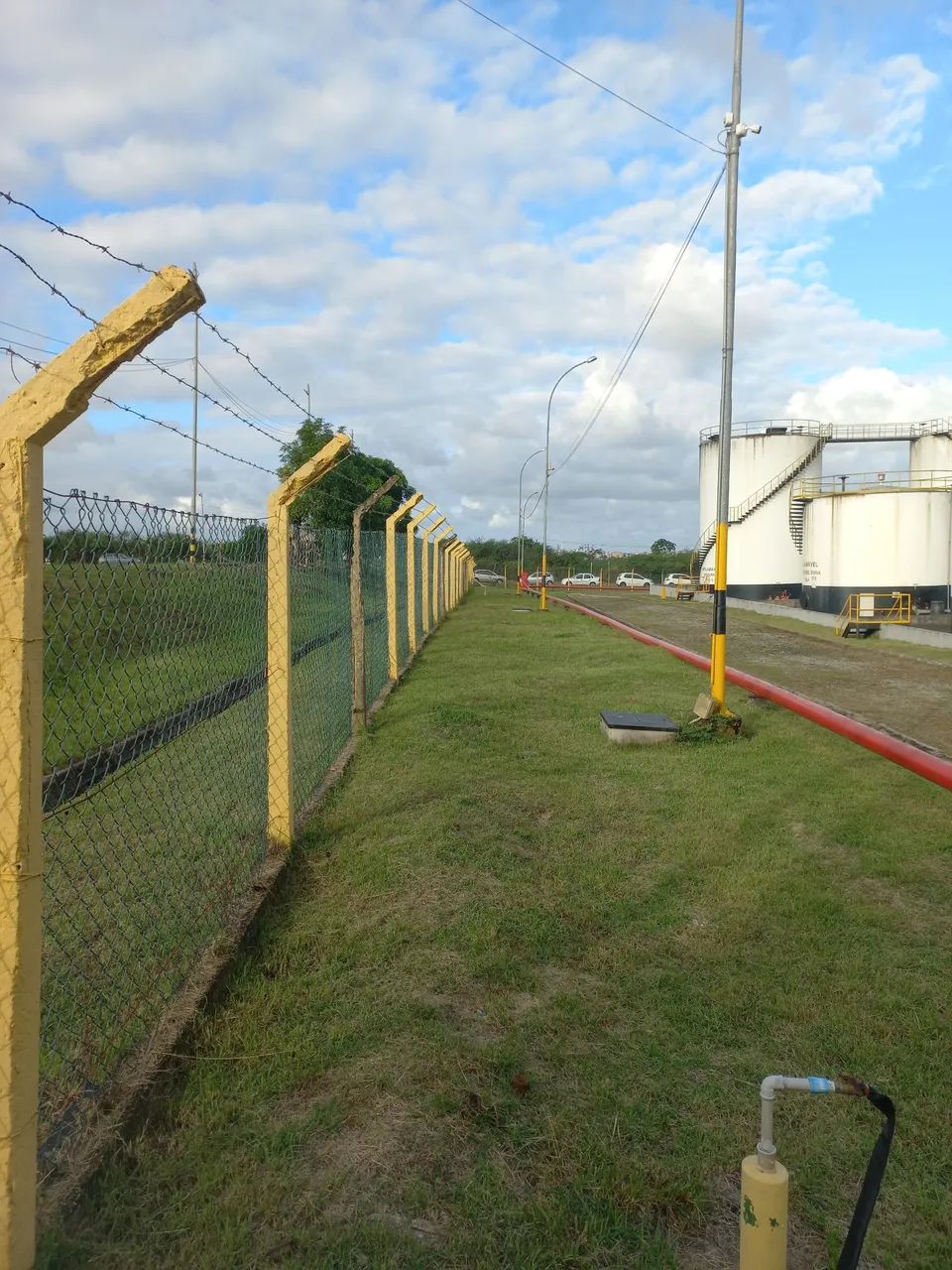 Jardinagem Serviço  - Foto 5