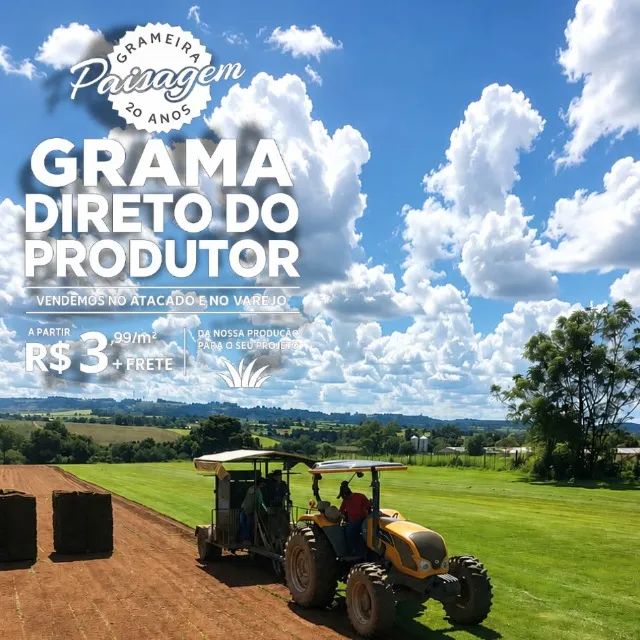 Grama Esmeralda