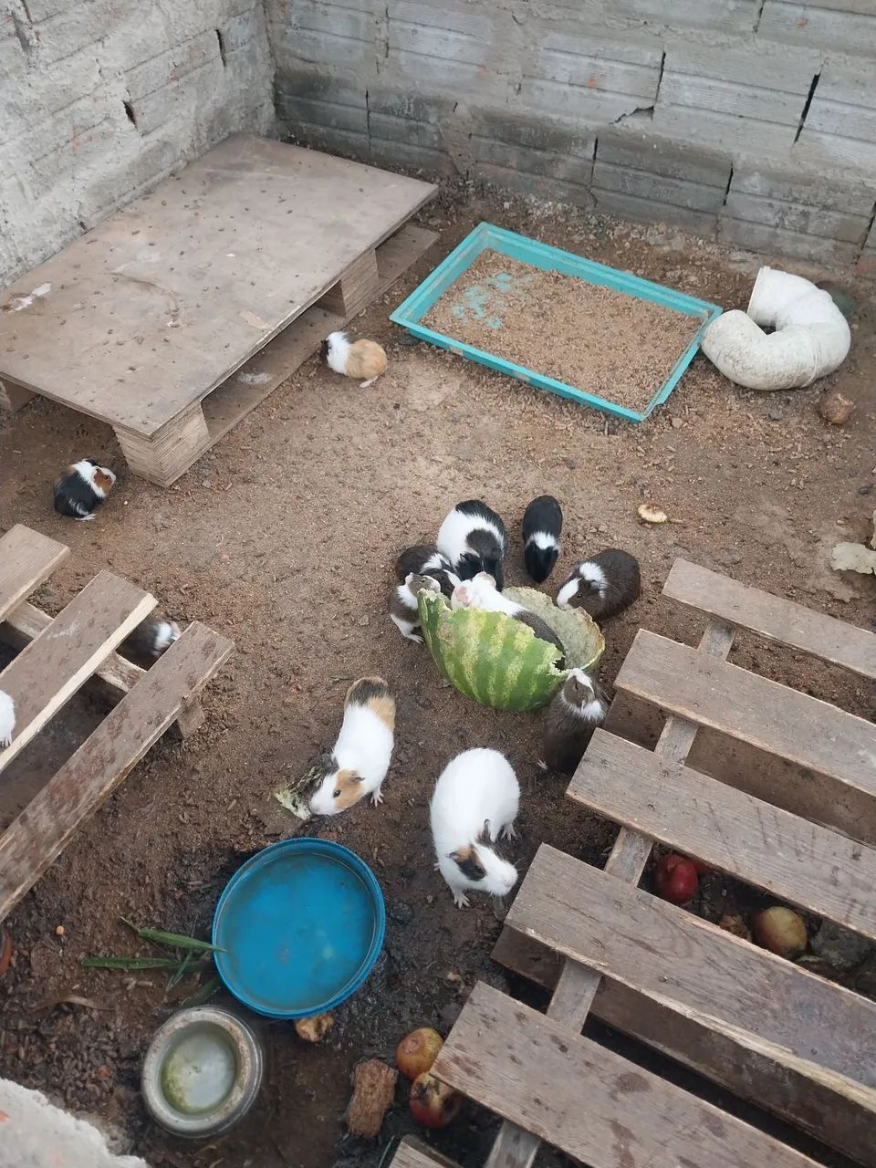 Vendo - Foto 2