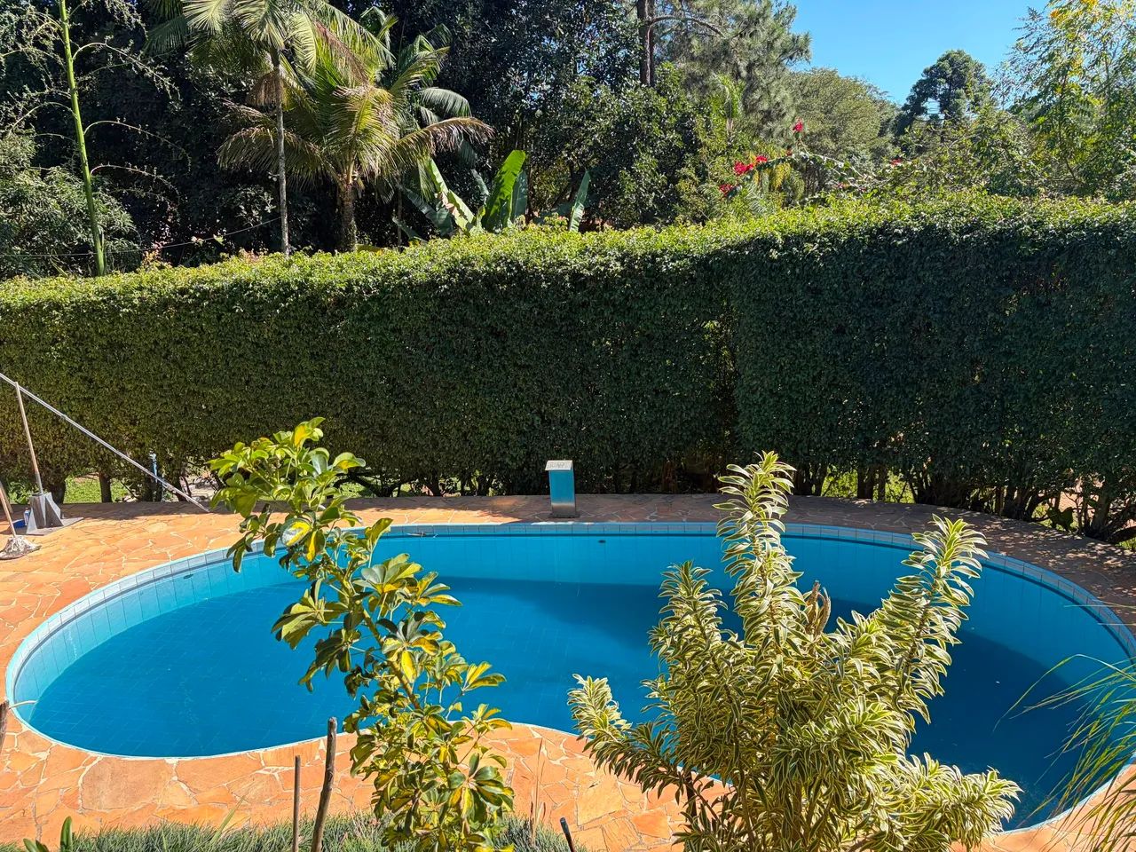 Chácara 5000 M2 , 3 suítes, piscina , área gourmet e muita natureza - Foto 2
