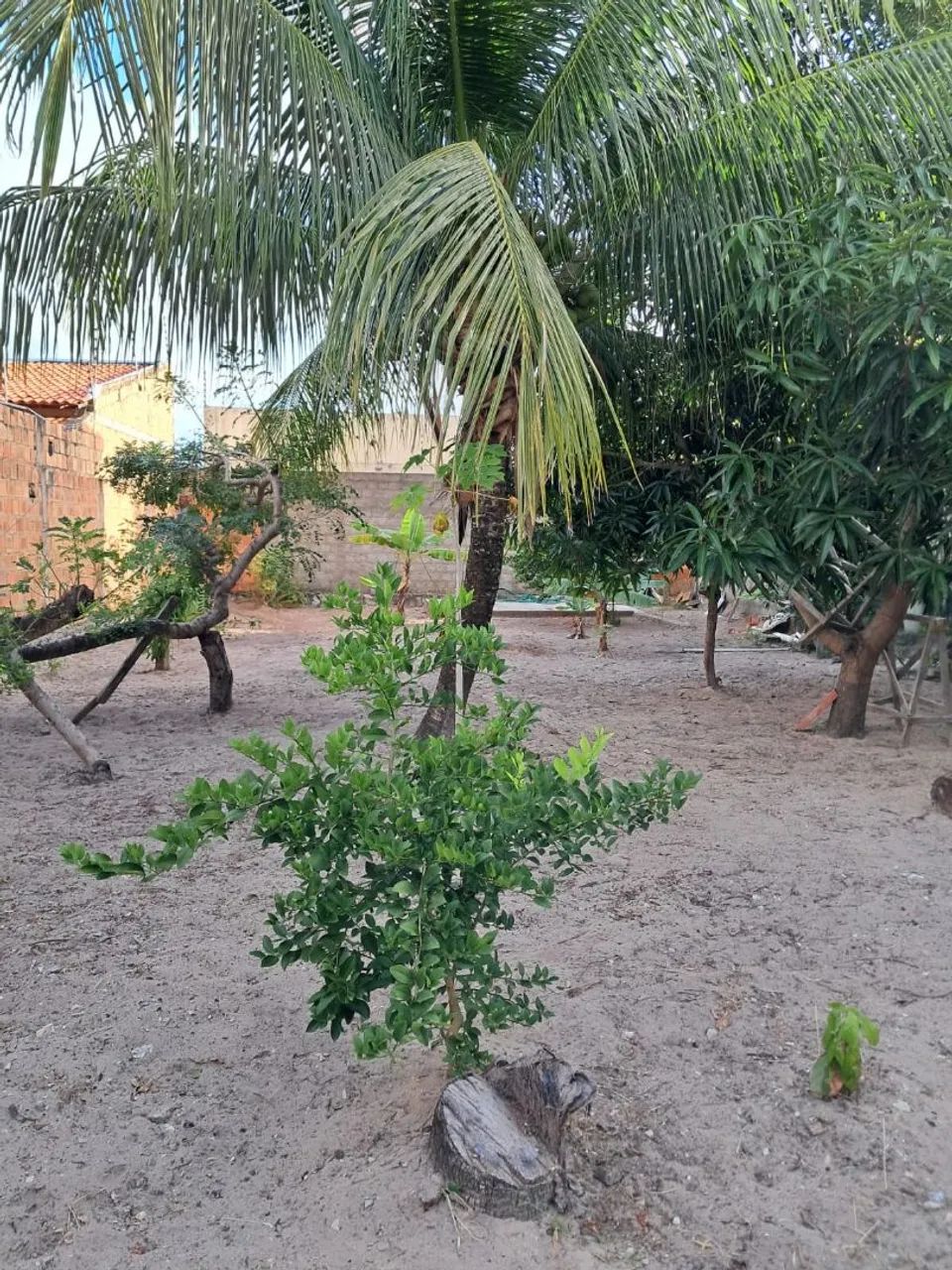 Lote com oportunidade imperdível - Foto 2
