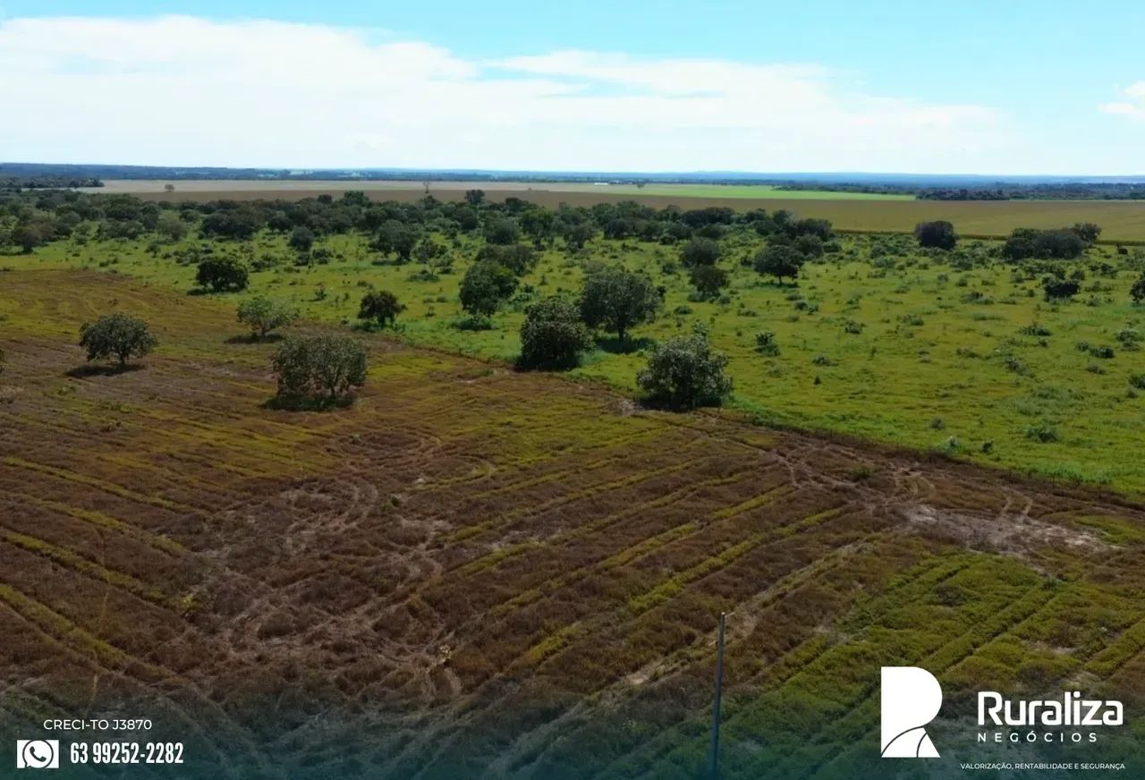 183 HA ABERTOS | REGIÃO DE SAFRA E SAFRINHA - Foto 5