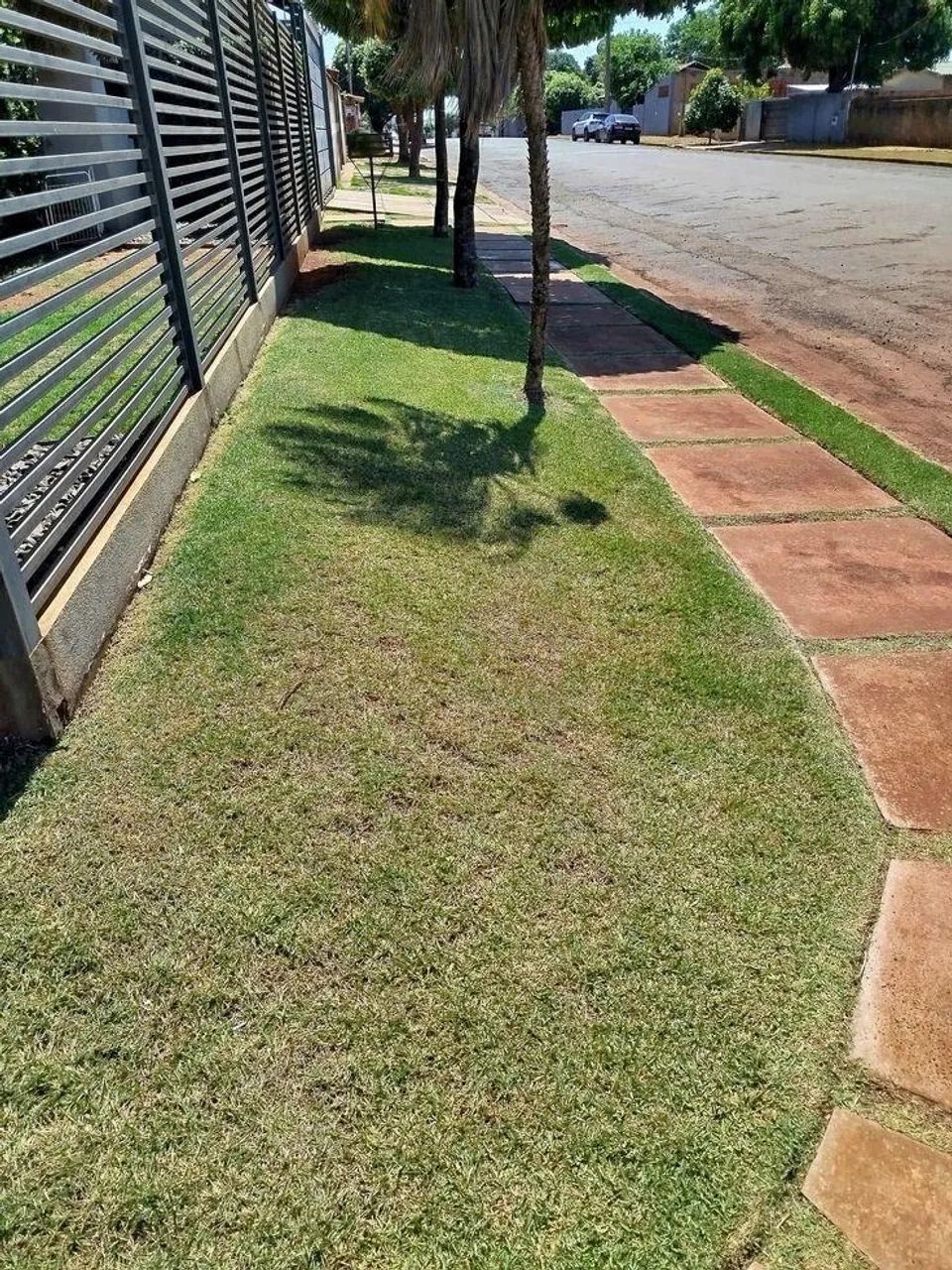 Jardineiro ( Samuel )