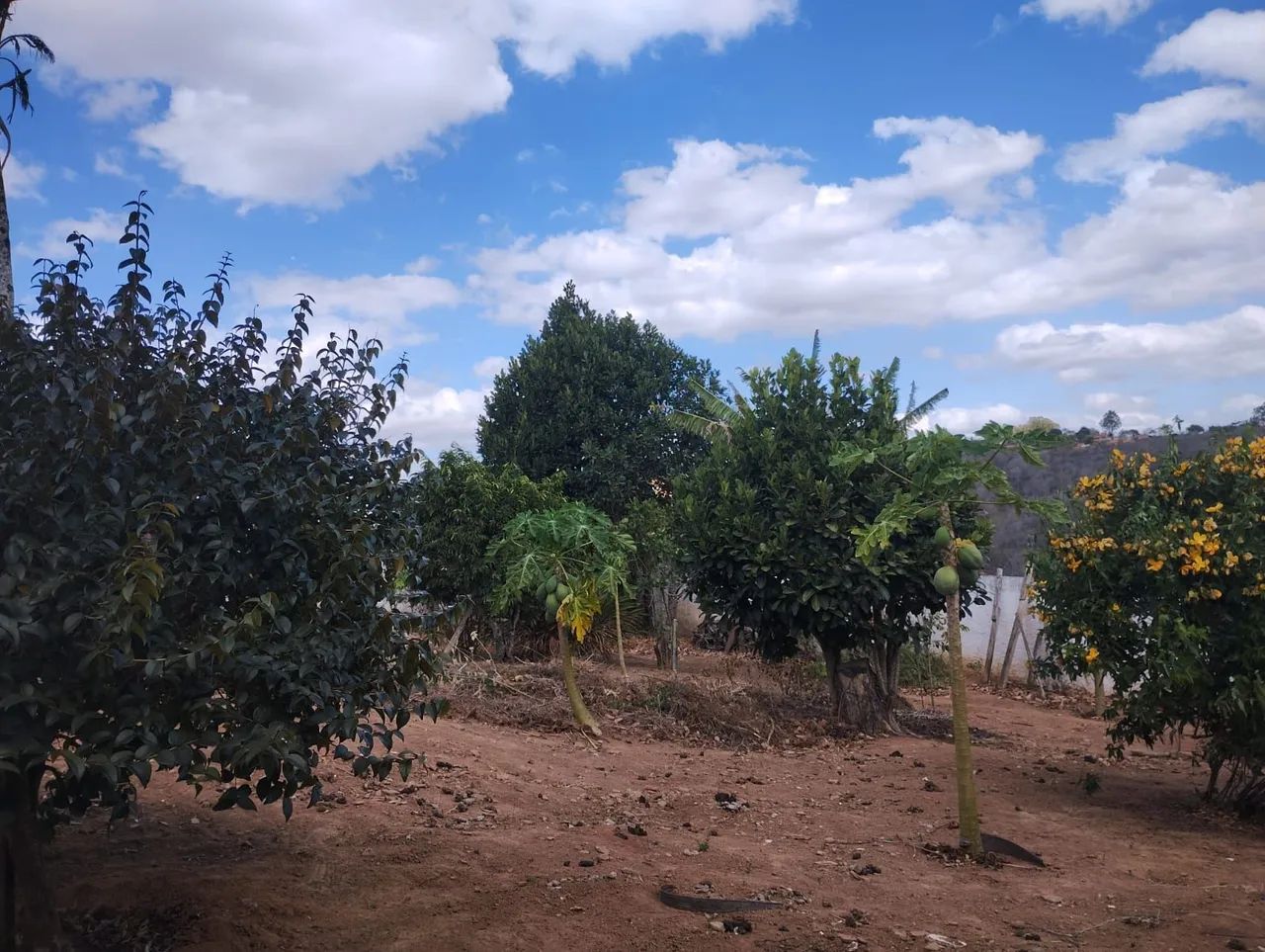 Chácara Serra Verde  - Foto 5