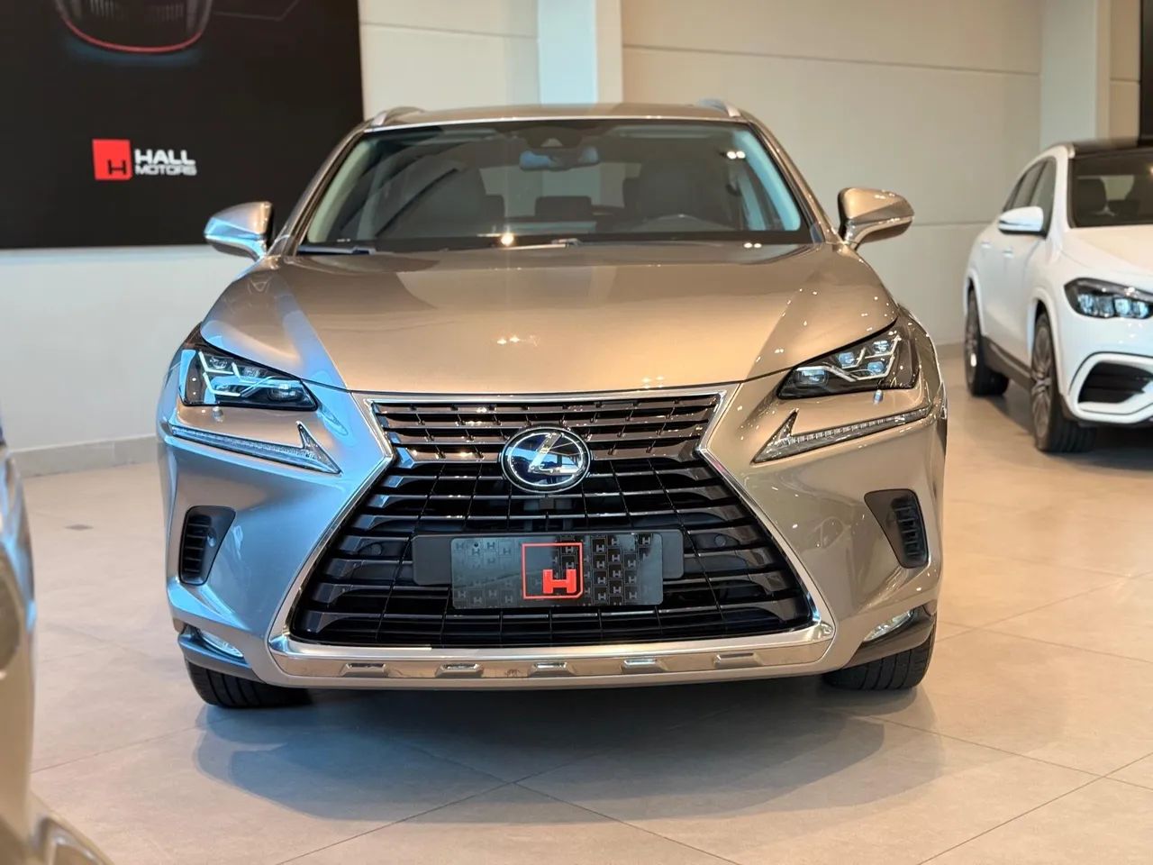 Lexus NX-300 H F-sport 2.5 16V Aut., foto 2 de 16