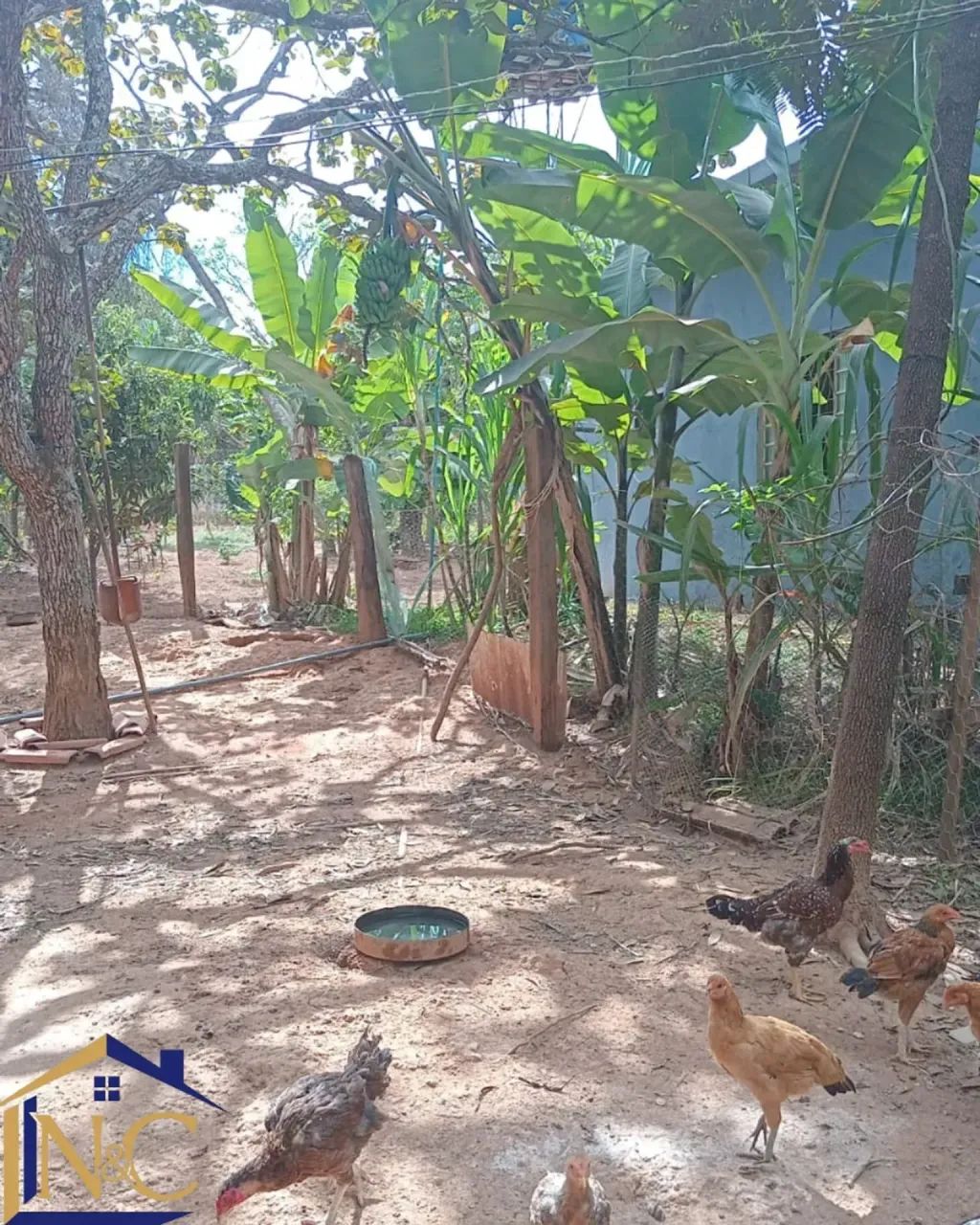 VENDE-SE CHÁCARA - Foto 5