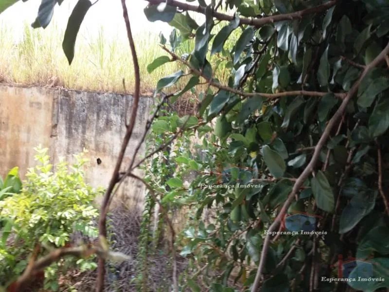 Residencial - Vila Osasco - Foto 5