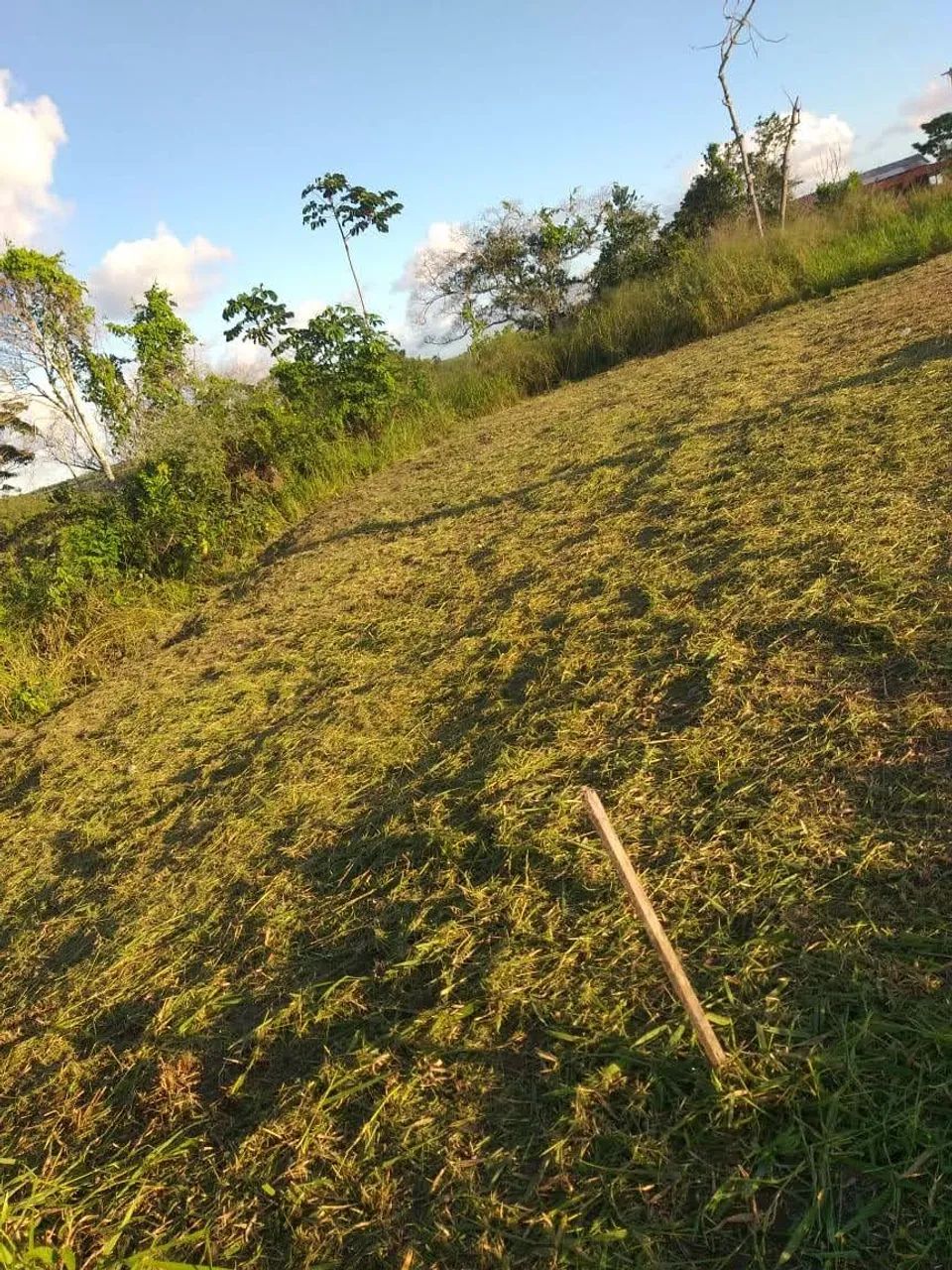 Vende-se um terreno 